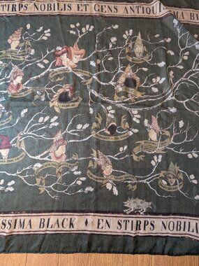 Harry Potter Family Black ancestry Bioworld Scarf